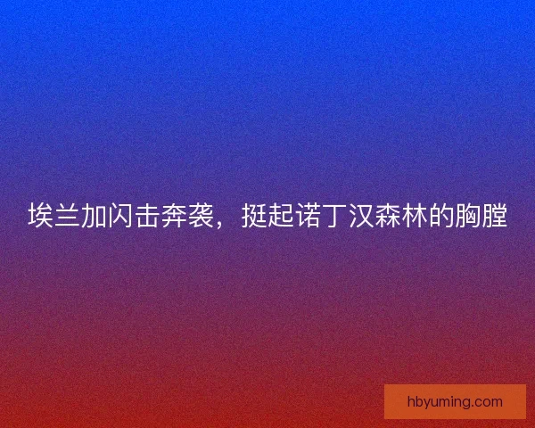 埃兰加闪击奔袭，挺起诺丁汉森林的胸膛