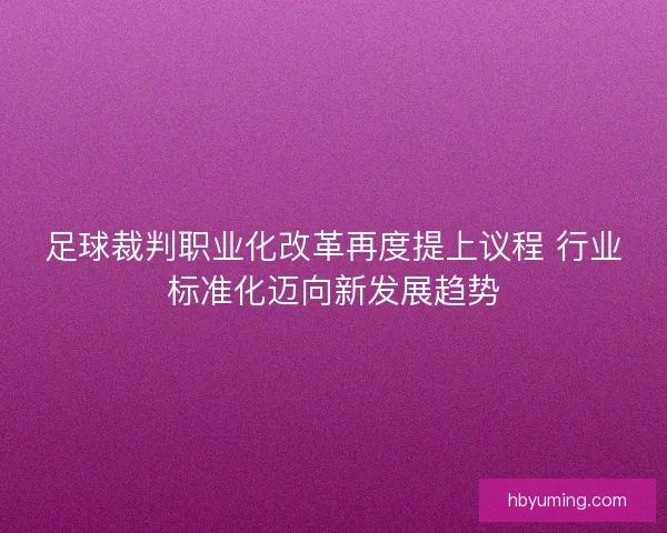 足球裁判职业化改革再度提上议程 行业标准化迈向新发展趋势